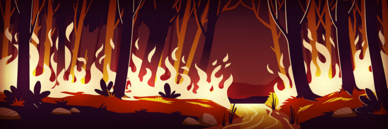 Burning wildfire at night, fire in forest (c) upklyak