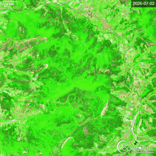 Sentinel 2 L2A 1187881083075847 timelapse