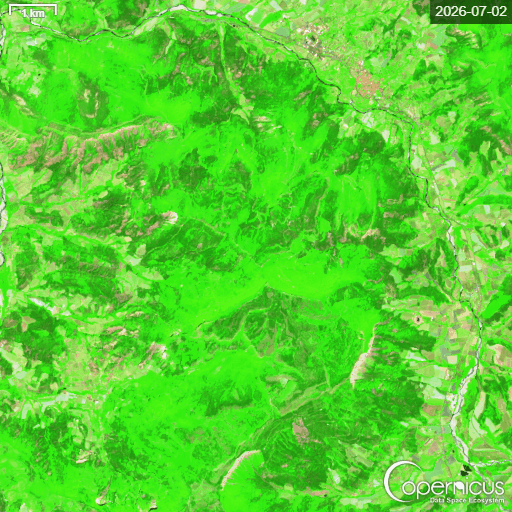 Les images satellites pour comprendre l’ampleur de l’incendie de Die 17 Sentinel 2 L2A 177285993893683 timelapse LAST