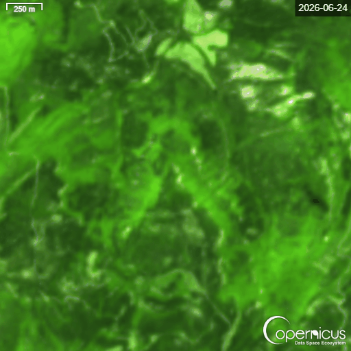 Sentinel 2 L2A 187510559167656 timelapse 24vs25