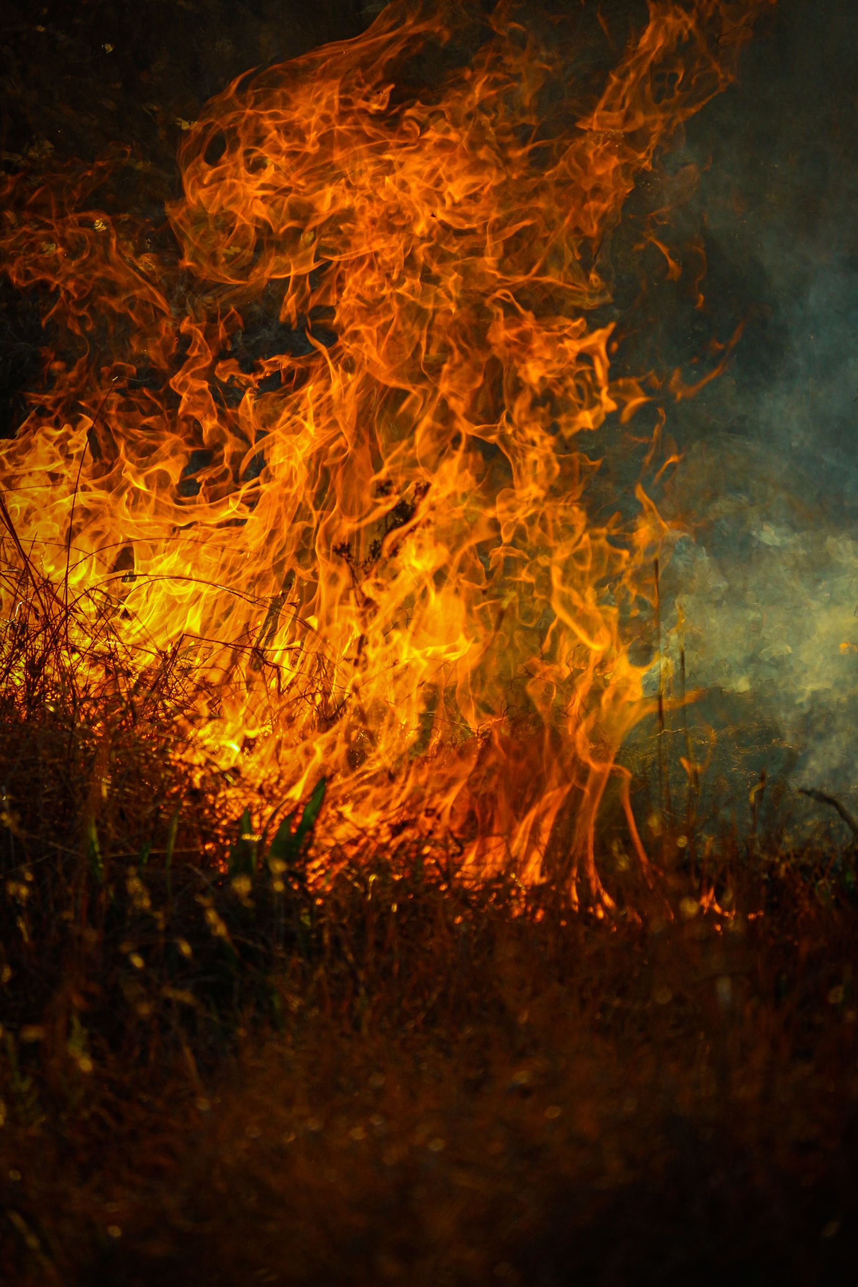 Accueil 7 Vivid depiction of fiery flames engulfing dry vegetation against a dark backdrop.